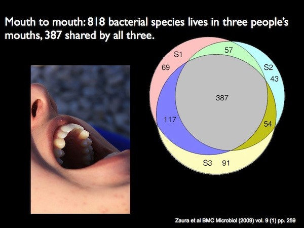 Mouth-venn-600.jpg