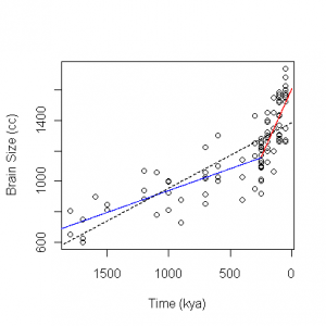 linear-300x300.png