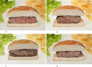 burger_fig-300x219.jpg