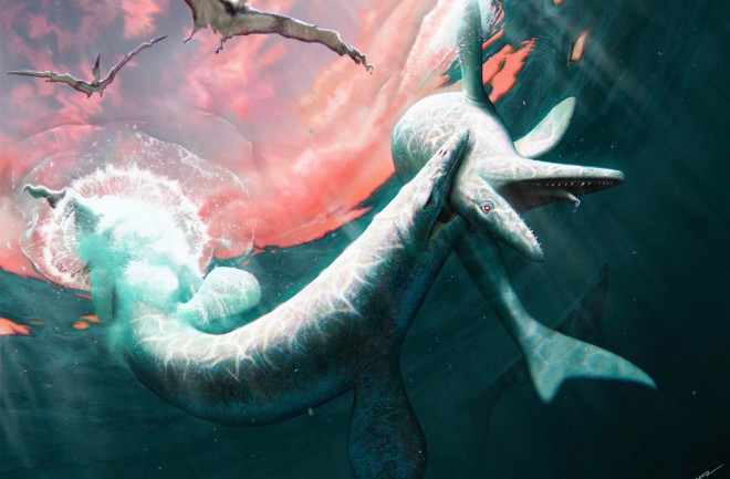 A reconstruction of two Jormungandr walhallaensis mosasaurs fighting.