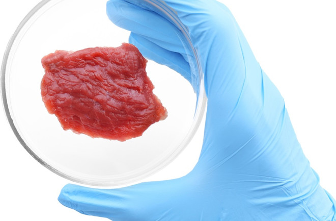 Lab-Grown Meat