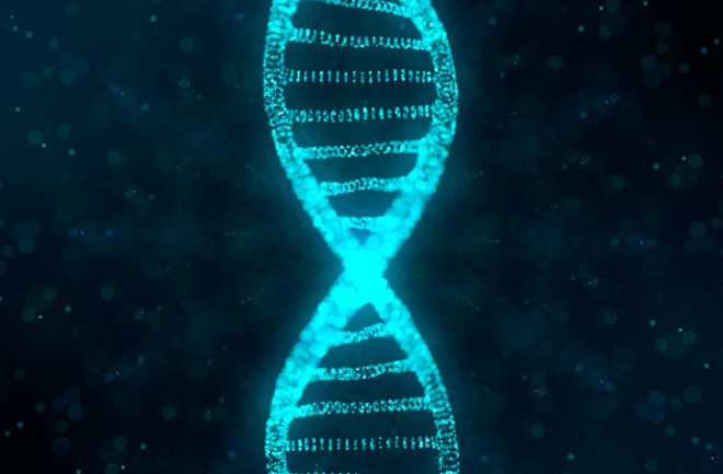 Genes DNA - Shutterstock