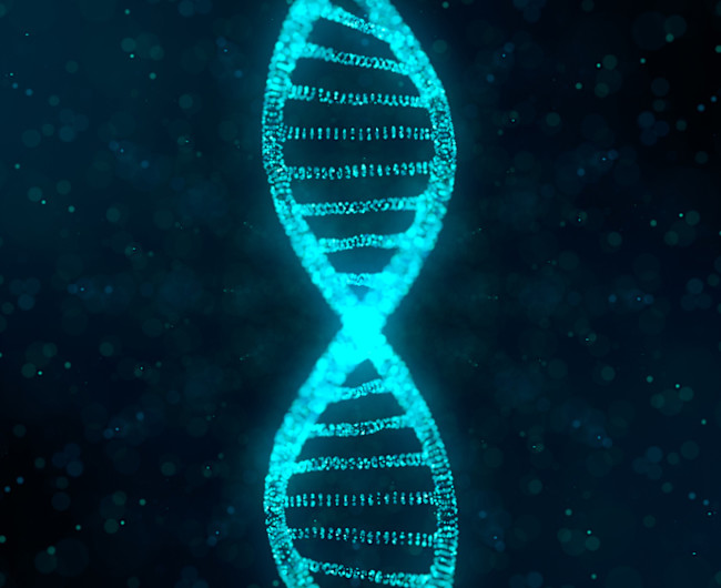 Genes DNA - Shutterstock