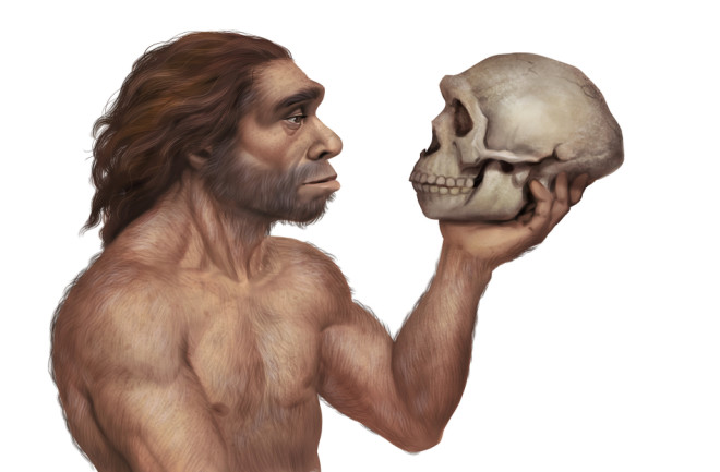Homo Longi: Extinct Human Species That May Replace Neanderthals As Our  Closest Relatives Found in China | Discover Magazine