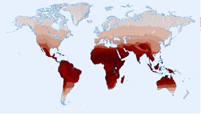 The Biology Of Skin Color Discover Magazine Feb01 Skinmap