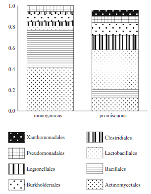 bacdiverse.png