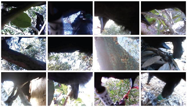 Screen-Shot-2015-12-28-at-2.15.53-PM.png