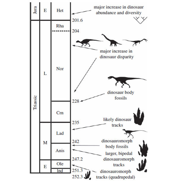 Dinosaur_evolution.jpg