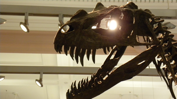 Terminatorsaurus.jpg