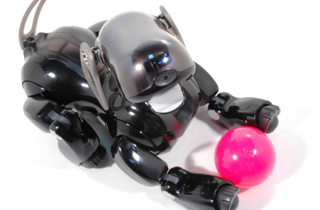 AIBO-robot-dog-ball-no-mark.jpg