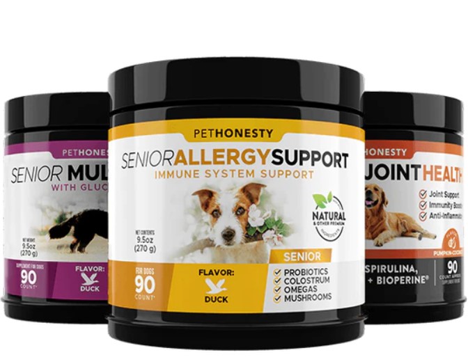 Best senior dog outlet vitamins