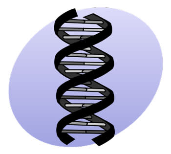 genetics.jpg
