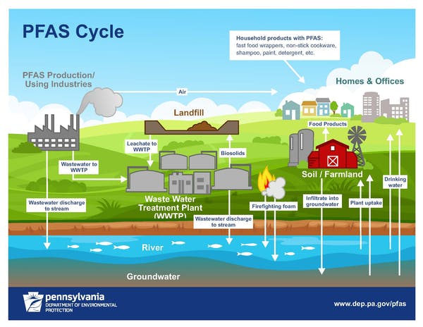 How Chemicals Like PFAS Can Increase Your Risk Of Severe COVID-19 ...