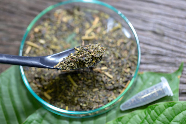 The U S May Ban Kratom But Are Its Effects Deadly Or Lifesaving Discover Magazine