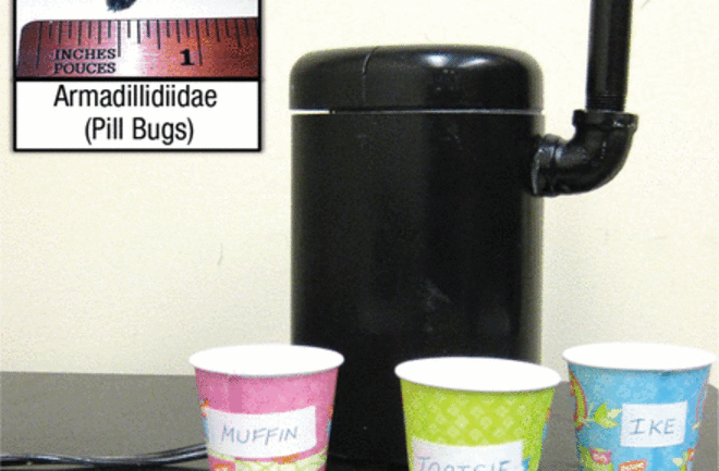 What happens when you give a sadist a cup of bugs and a coffee grinder