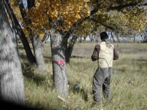 tree-arbor-day-300x225.jpg