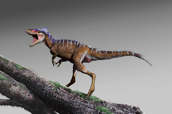 Tyrannosaurus rex Is Not One Species, But Three Different Ones