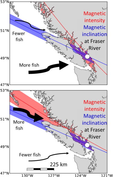 salmon-map.jpg