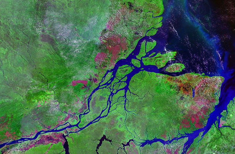 Mouths_of_amazon_geocover_1990.jpg