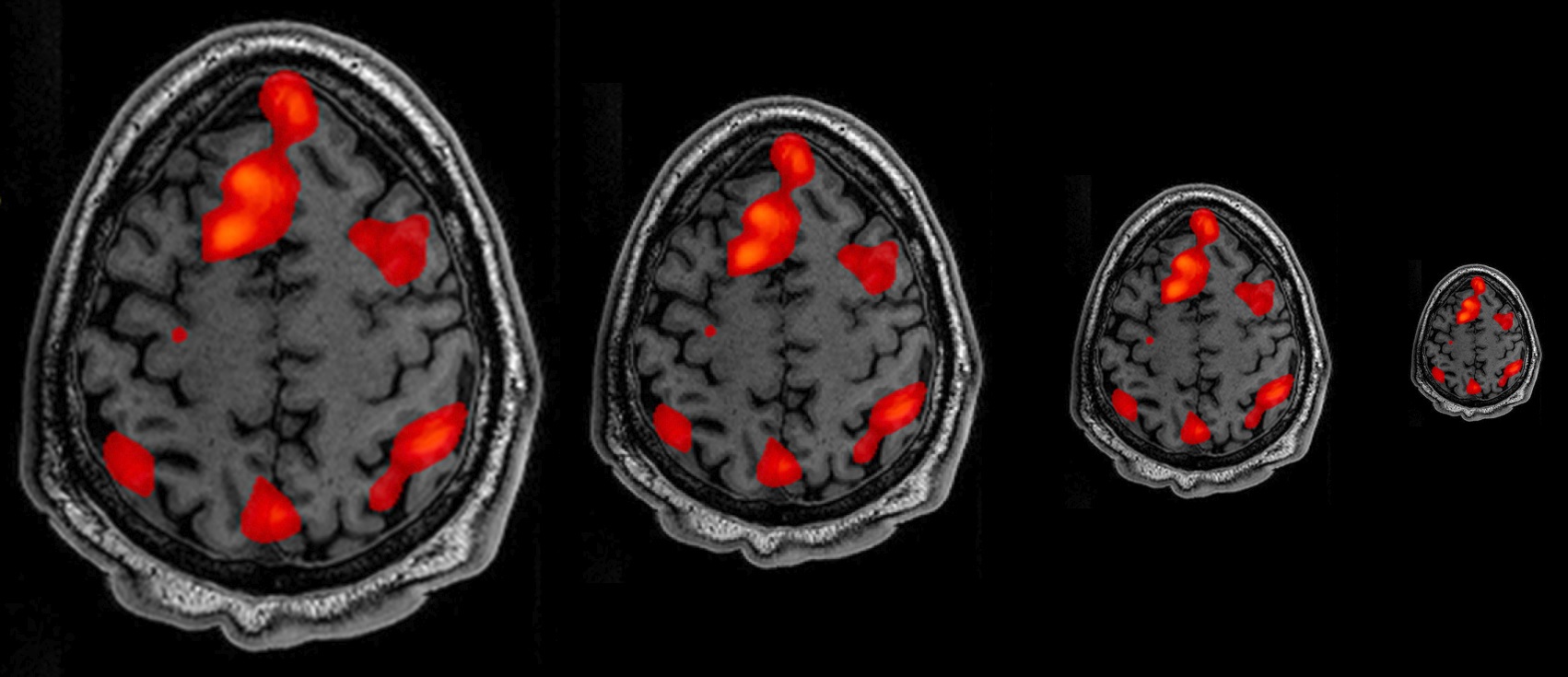 neuroscience_size.jpg