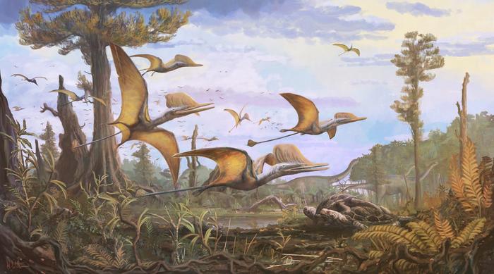 Une nouvelle découverte de ptérosaures montre que les reptiles ailés ont plané dans le ciel pendant 25 millions d’années
