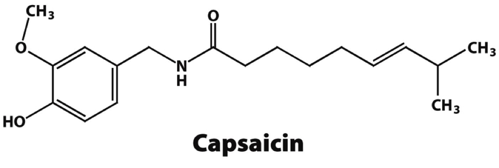 Капсаицин что это. Капсаицин. Капсаицин капсаицин. Чистый капсаицин. Алкалоид капсаицин.
