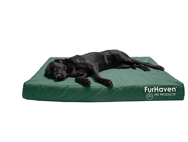 The Best Chew-Proof Dog Bed: 7 Tough Favorites to Try - Vetstreet
