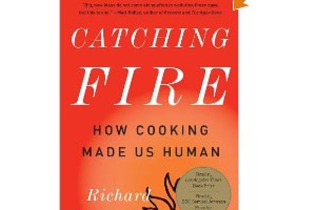 Catching-Fire-Paperback.jpg