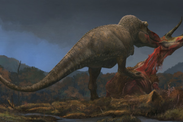 The T. Rex Dined on Huge, Plant-Eating Dinosaurs — and Each Other