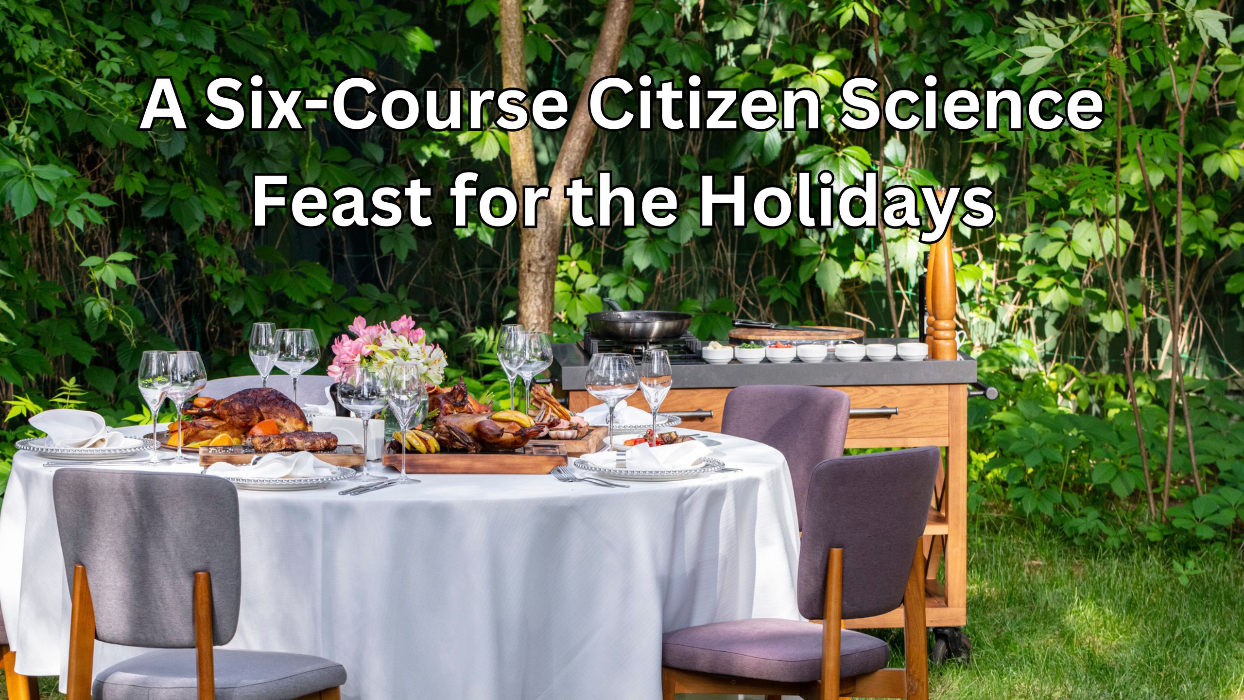 A Six-Course Citizen Science Feast for the Holidays!