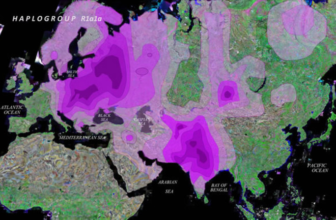 haplogroup