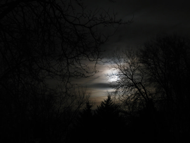 Full-Moon-March-19-2011-1-610.jpg