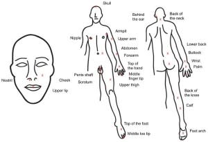 beefig-300x205.jpg