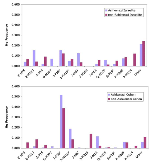 jewhaplogroup.png