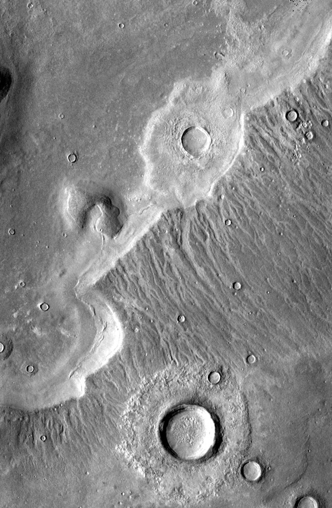 DSC-F0217_10.jpg