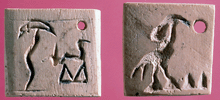 Tags from tomb U-j, Abydos - Science