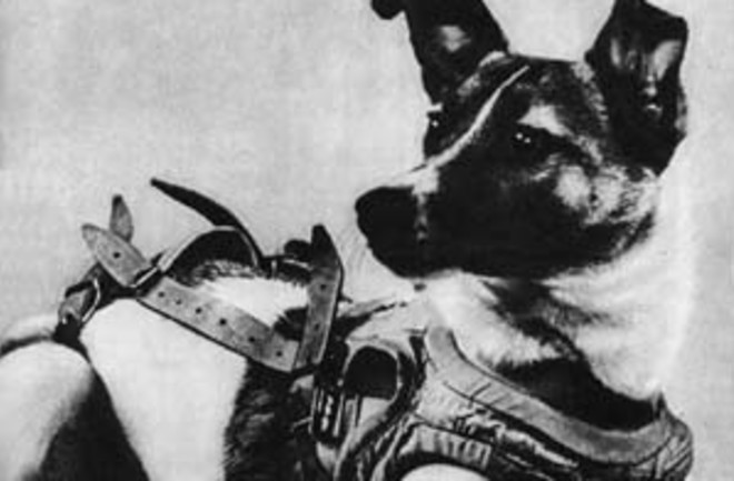 Laika_Soviet_dog-300x221.jpg