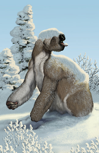 sloth-buell.jpg