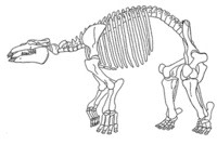 paleoparadoxa.jpg