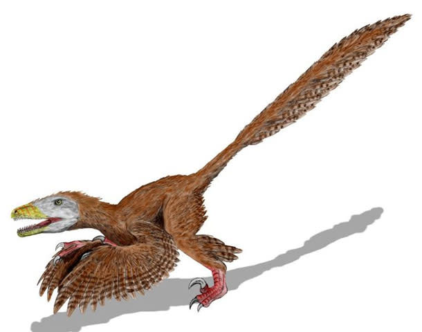 Deinonychus_restoration.jpg