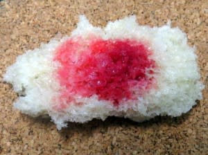 Serratia growing on a chunk of bread. Image: DBN. Click for source