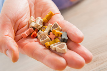 Good quality dog clearance treats