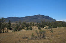 flinders-range.jpg
