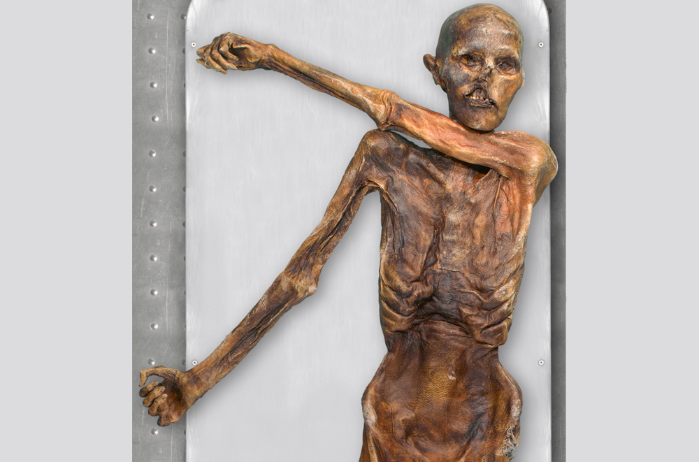 Living Relatives Of Otzi The Iceman Mummy Found In Austria Discover Magazine