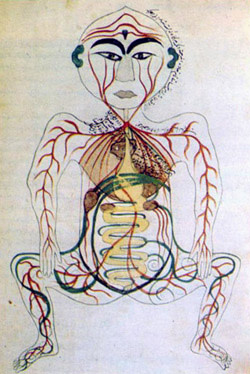 17th Century Digestive System - Nasr 1976