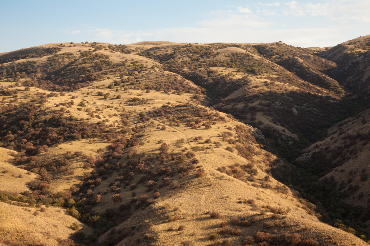 Golestan