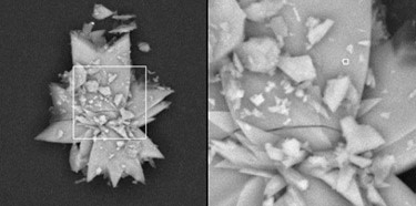 gypsum-crystals.jpg