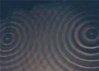 ripple.gif