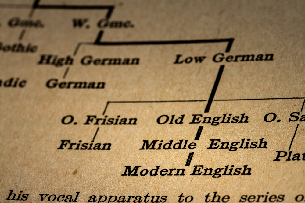 proto indo european language chart