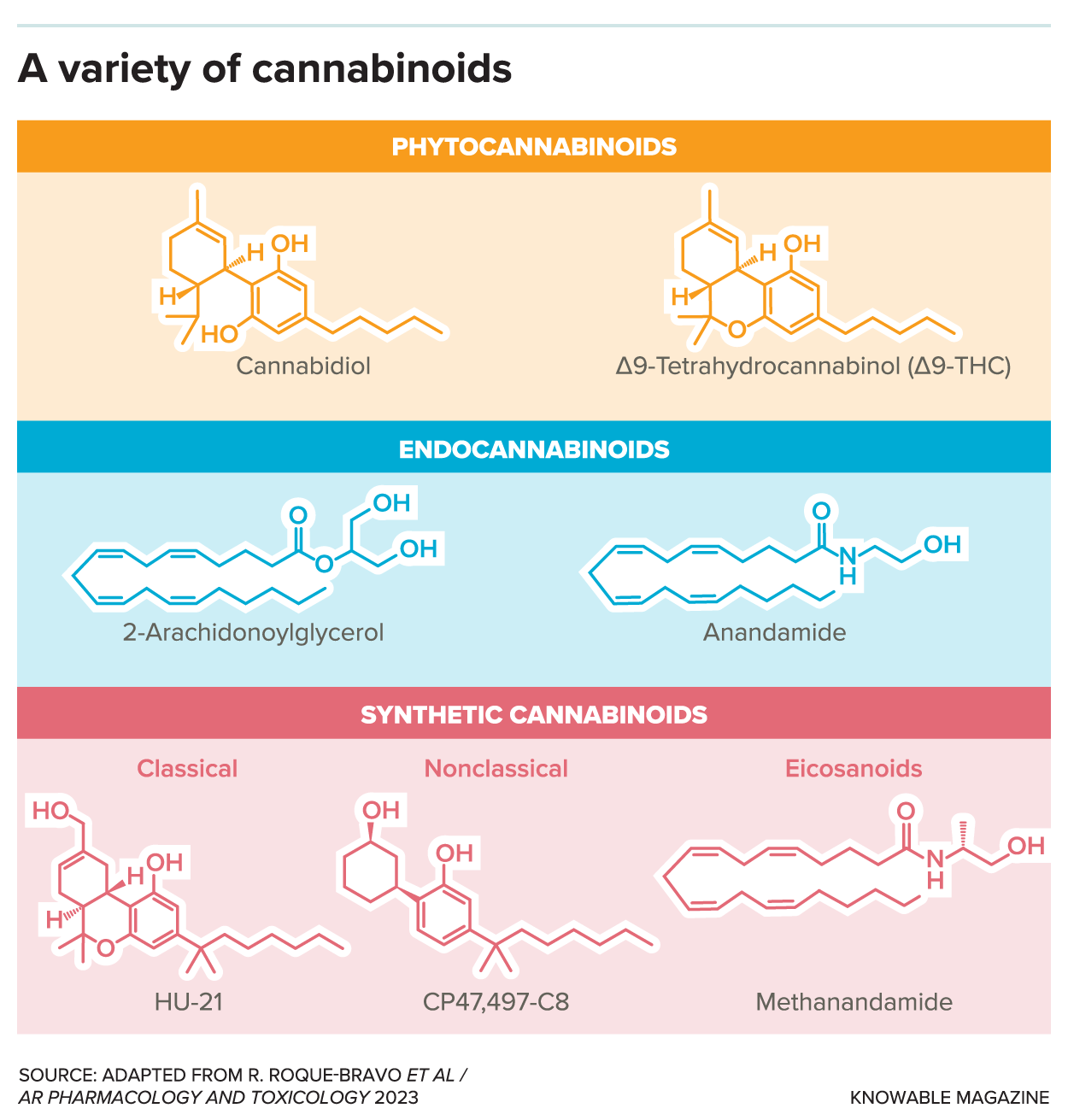 Anandamide: The Human Body's Own THC - WeedSeedShop